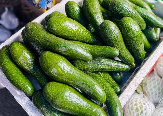 Những người có cơ địa nhạy cảm thường có nguy cơ cao bị dị ứng sau khi ăn bơ, do đó cần chú ý. Ảnh: LÊ CẦM