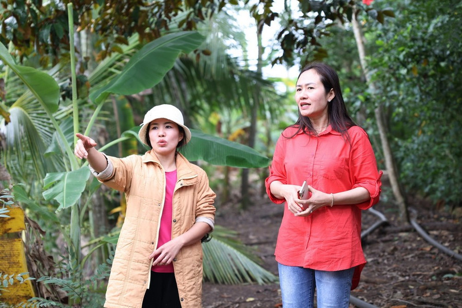 Bà Ngô Thị Minh Trinh (bên phải), Phó Chủ tịch UBND huyện Krông Pắc đến từng hộ dân để vận động về công tác giải phóng mặt bằng Dự án Cao tốc Khánh Hòa-Buôn Ma Thuột. Ảnh: Tuấn Anh/TTXVN Bà Ngô Thị Minh Trinh (bên phải), Phó Chủ tịch UBND huyện Krông Pắc đến từng hộ dân để vận động về công tác giải phóng mặt bằng Dự án Cao tốc Khánh Hòa-Buôn Ma Thuột. Ảnh: Tuấn Anh/TTXVN