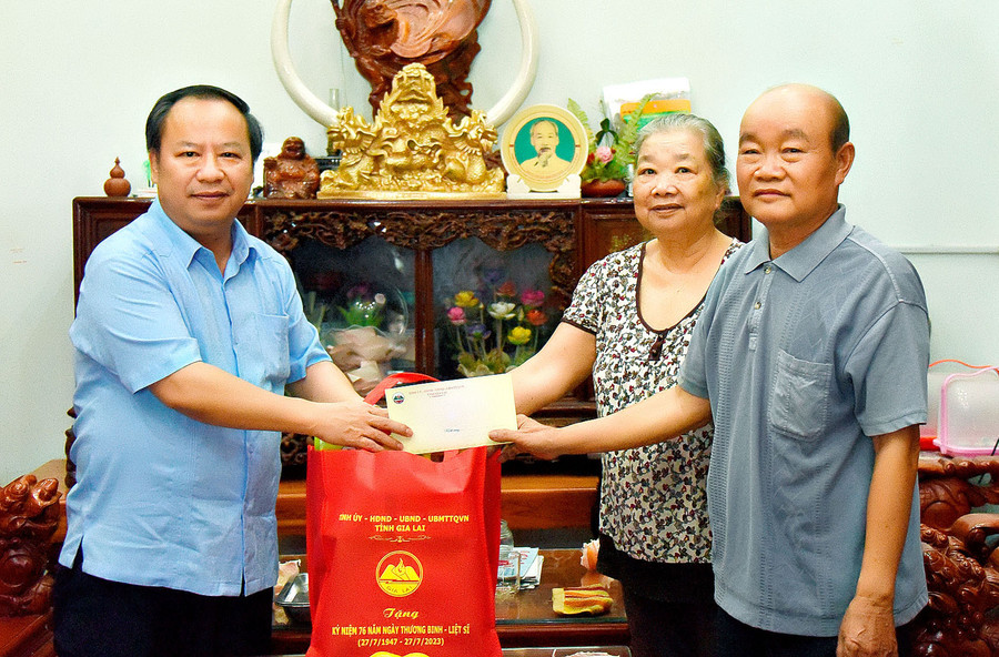 Phó Bí thư Thường trực Tỉnh ủy Châu Ngọc Tuấn (bìa trái) thăm, tặng quà bà Vũ Thị Lý (người hoạt động kháng chiến bị nhiễm chất độc hóa học trú tại tổ 1, thị trấn Kbang). Ảnh: Đức Thụy