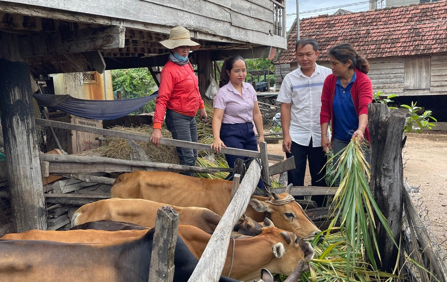Hộ nghèo không có đất sản xuất được vay vốn để hỗ trợ chuyển đổi nghề tạo sinh kế bền vững. Ảnh: Sơn Ca Hộ nghèo không có đất sản xuất được vay vốn để hỗ trợ chuyển đổi nghề tạo sinh kế bền vững. Ảnh: Sơn Ca