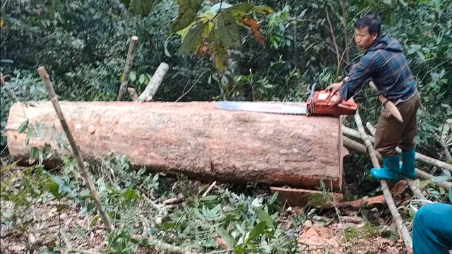 Hiện trường vụ việc