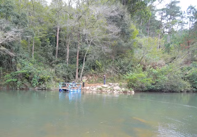 Bên trong VQG Bidoup - Núi Bà.