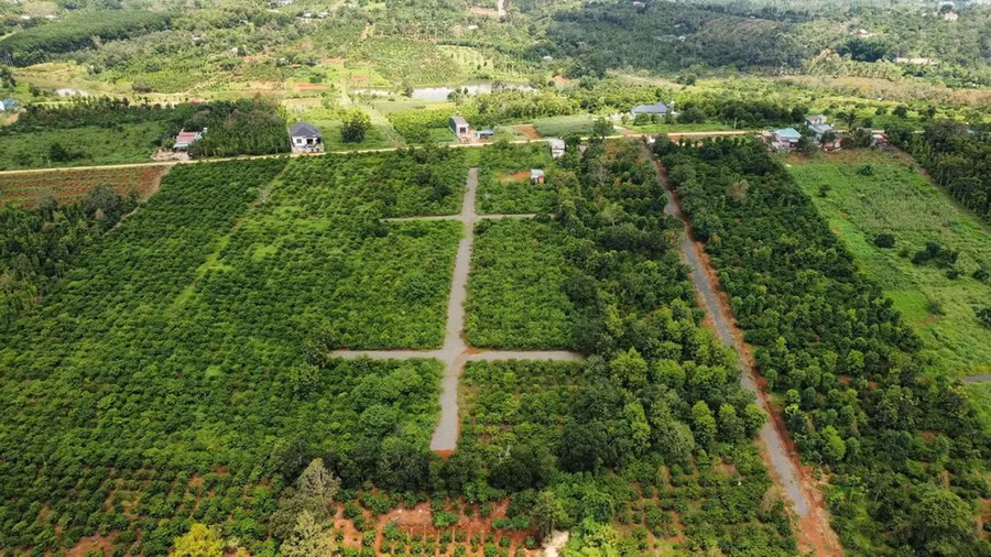 Mở đường, phân lô tại khu vực ven đường tránh trung tâm thành phố Gia Nghĩa, tỉnh Đắk Nông. (Ảnh: TTXVN phát)