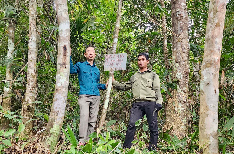 Đóng biển, cắm mốc giao rừng cho cộng đồng làng Pting (xã Sró) với diện tích gần 300 ha. Ảnh: G.H Đóng biển, cắm mốc giao rừng cho cộng đồng làng Pting (xã Sró) với diện tích gần 300 ha. Ảnh: G.H