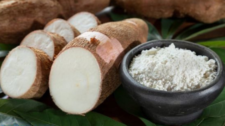 Củ khoai mì giúp giảm đau đầu, điều trị tiêu chảy... (Ảnh minh hoạ: Pixabay) Củ khoai mì giúp giảm đau đầu, điều trị tiêu chảy... (Ảnh minh hoạ: Pixabay)