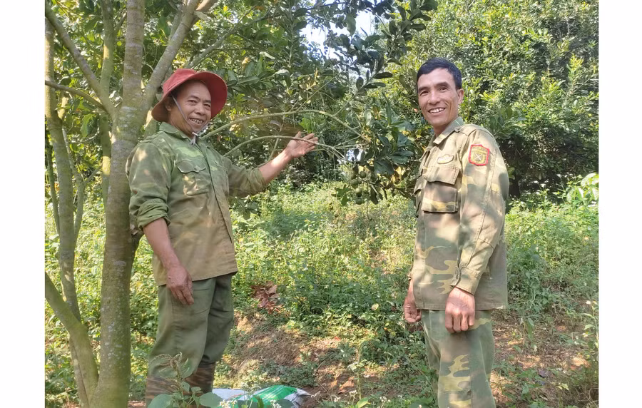Các thành viên Nông hội trồng cà phê xen mắc ca xã Sơn Lang (huyện Kbang) chia sẻ kinh nghiệm sản xuất. Ảnh: N.M