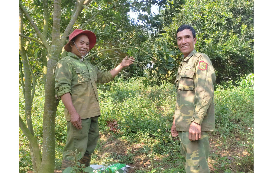 Các thành viên Nông hội trồng cà phê xen mắc ca xã Sơn Lang (huyện Kbang) chia sẻ kinh nghiệm sản xuất. Ảnh: N.M Các thành viên Nông hội trồng cà phê xen mắc ca xã Sơn Lang (huyện Kbang) chia sẻ kinh nghiệm sản xuất. Ảnh: N.M