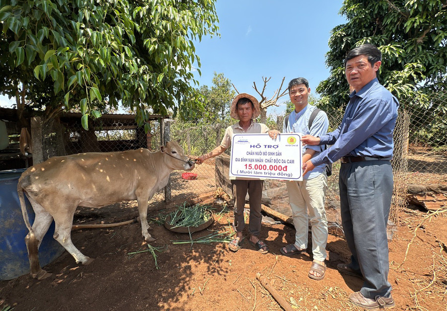 Ông Nguyễn Xuân Thủy (bìa phải) tặng bò giống cho gia đình nạn nhân chất độc da cam ở xã Chư Pơng (huyện Chư Sê). Ảnh: Phan Lài Ông Nguyễn Xuân Thủy (bìa phải) tặng bò giống cho gia đình nạn nhân chất độc da cam ở xã Chư Pơng (huyện Chư Sê). Ảnh: Phan Lài