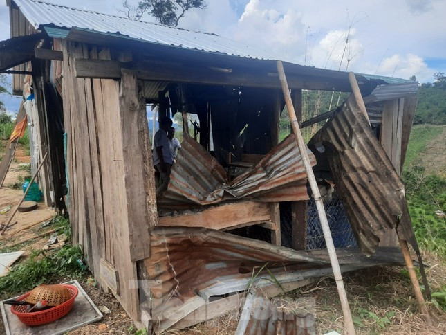 Lán, trại của nhân viên bảo vệ rừng bị các đối tượng đập, phá Lán, trại của nhân viên bảo vệ rừng bị các đối tượng đập, phá