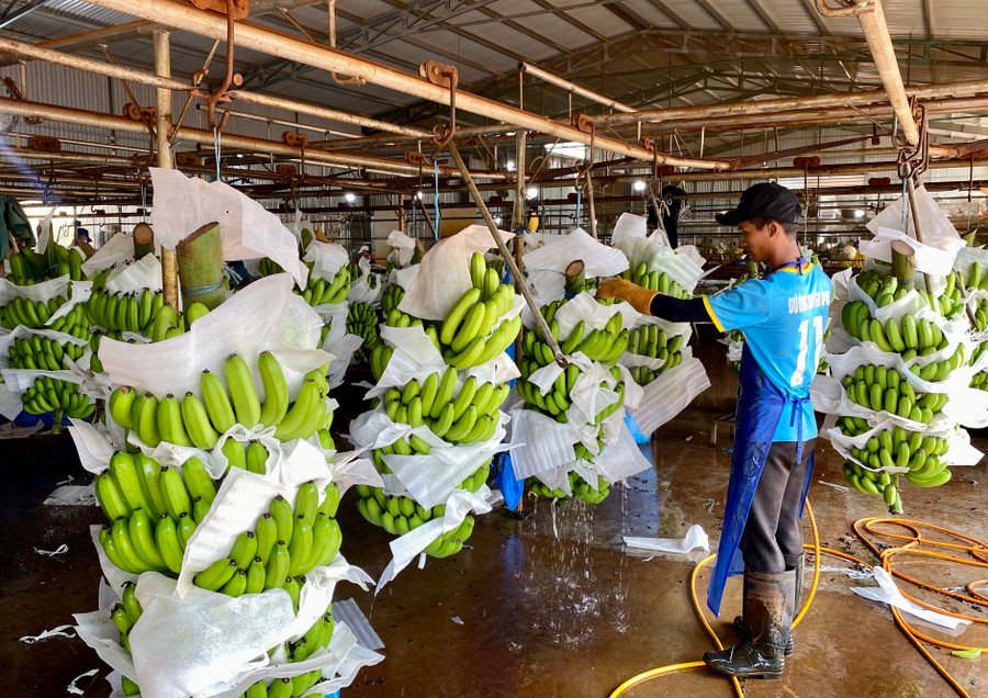 Các doanh nghiệp cần được tiếp cận nguồn vốn để phát triển ổn định. Ảnh: Hà Duy