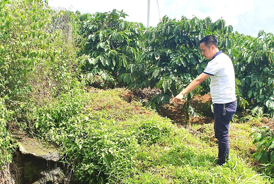 Vị trí nước thải từ bên trong khuôn viên chung của các trang trại chăn nuôi chảy ra môi trường tự nhiên, bốc mùi hôi thối. Ảnh: Minh Nguyễn Vị trí nước thải từ bên trong khuôn viên chung của các trang trại chăn nuôi chảy ra môi trường tự nhiên, bốc mùi hôi thối. Ảnh: Minh Nguyễn