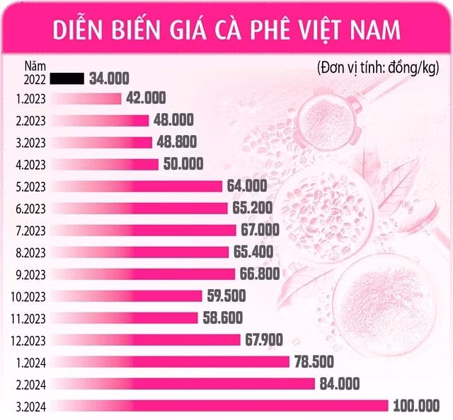 NGUỒN: TỔNG HỢP - ĐỒ HỌA: BẢO NGUYỄN