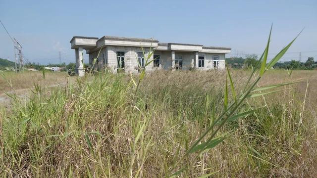 Khu dân cư Đập Ban (xã Bình Nguyên, H.Bình Sơn, Quảng Ngãi) bỏ hoang nhiều năm, cây cỏ mọc đầy Khu dân cư Đập Ban (xã Bình Nguyên, H.Bình Sơn, Quảng Ngãi) bỏ hoang nhiều năm, cây cỏ mọc đầy