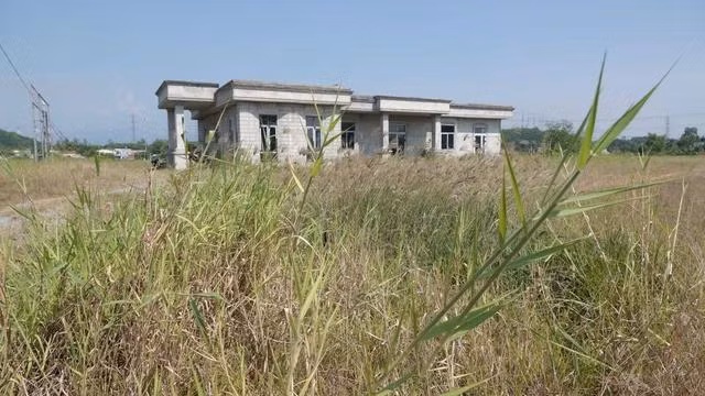 Khu dân cư Đập Ban (xã Bình Nguyên, H.Bình Sơn, Quảng Ngãi) bỏ hoang nhiều năm, cây cỏ mọc đầy