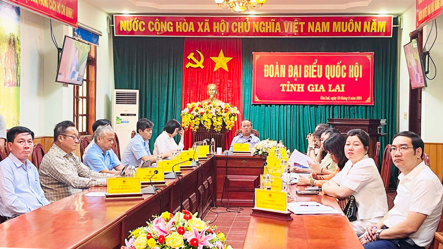 Quang cảnh phiên họp tại điểm cầu tỉnh Gia Lai. Ảnh: Trần Dung Quang cảnh phiên họp tại điểm cầu tỉnh Gia Lai. Ảnh: Trần Dung
