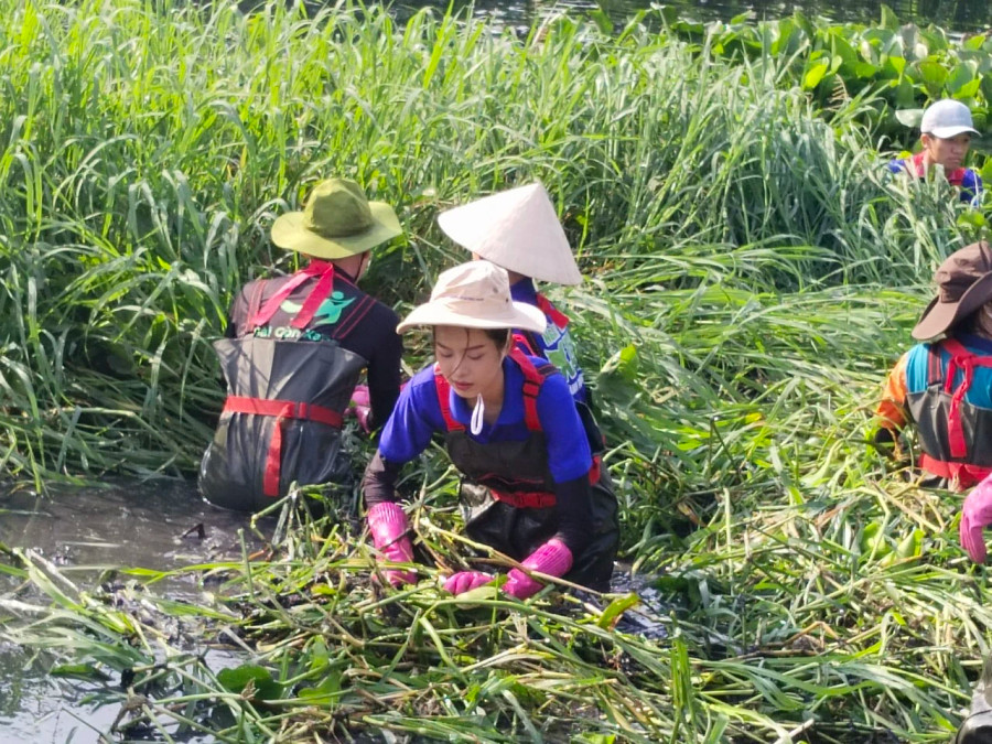 Các hoa hậu cùng dọn dẹp, cải tạo con kênh với người dân, đoàn viên, thanh niên