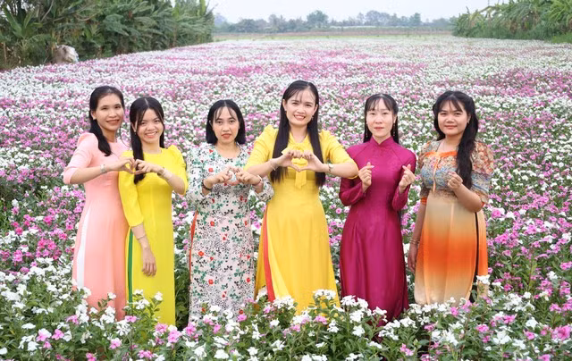 Vườn hoa dừa cạn với nhiều màu sắc rực rỡ