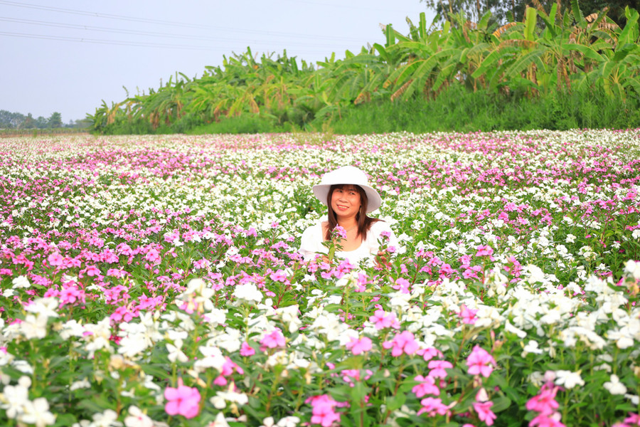 Nhiều cô gái đã lưu lại khoảnh khắc tại vườn hoa