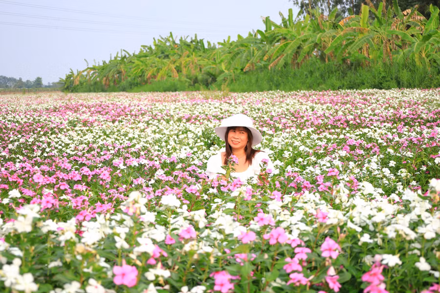 Nhiều cô gái đã lưu lại khoảnh khắc tại vườn hoa