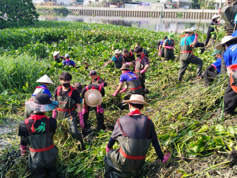 Đông đảo đoàn viên, thanh niên, lực lượng quân đội, công an tham gia chương trình Ngày Chủ nhật xanh tại Q.12