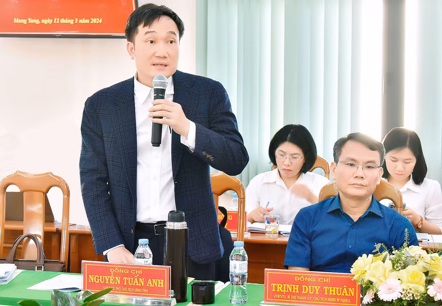 Ủy viên Ban Thường vụ Tỉnh ủy, Phó Chủ tịch UBND tỉnh Nguyễn Tuấn Anh phát biểu tại buổi làm việc. Ảnh: Đức Thụy