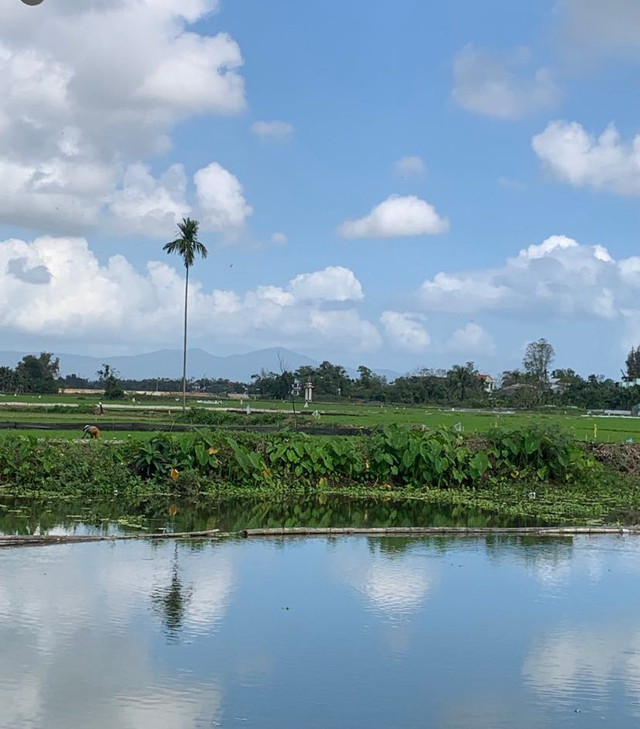 Quê hương là nơi có mồ mả tổ tiên, ông bà; có bà con dòng tộc đã và đang tá túc, làm ăn Quê hương là nơi có mồ mả tổ tiên, ông bà; có bà con dòng tộc đã và đang tá túc, làm ăn