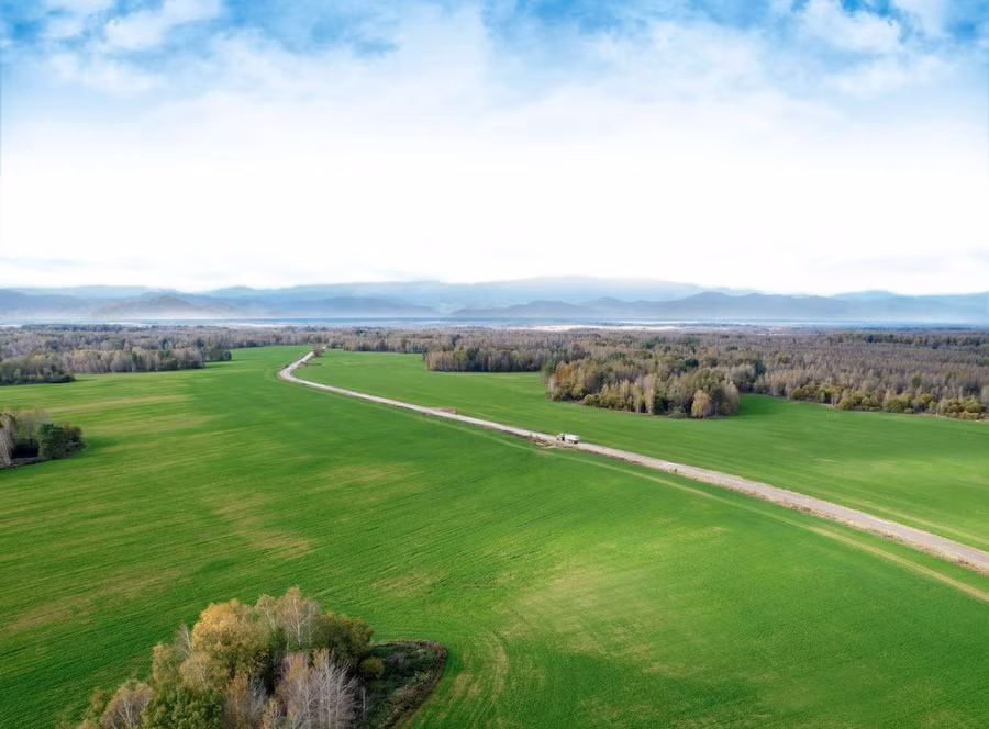 Những cánh đồng nguyên liệu của TH tại Liên bang Nga.