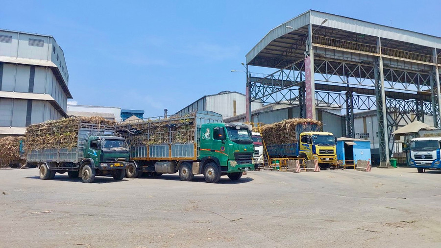 Ngành chế biến đường đang là một trong những điểm nhấn của ngành công nghiệp chế biến ở Gia Lai. Ảnh: Vũ Thảo