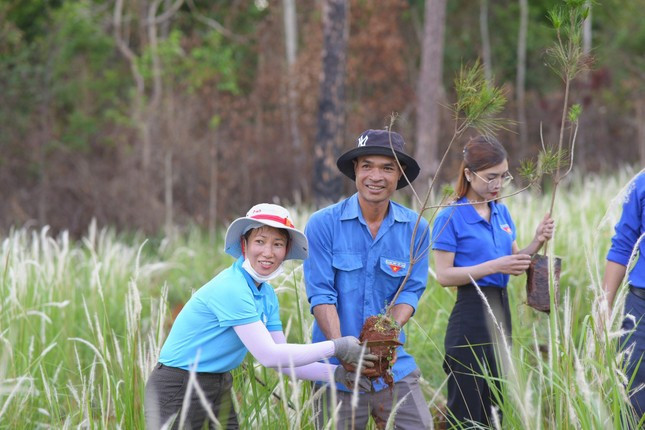 Chương trình trồng cây xanh Chương trình trồng cây xanh