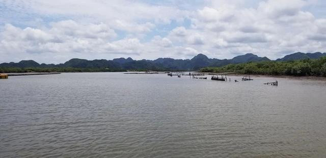 Lạch Phù Long đưa du khách từ bến phà Cái Viềng (xã Phù Long, H.Cát Hải, Hải Phòng) tới núi Linh Quy, nơi có động Thiên Long