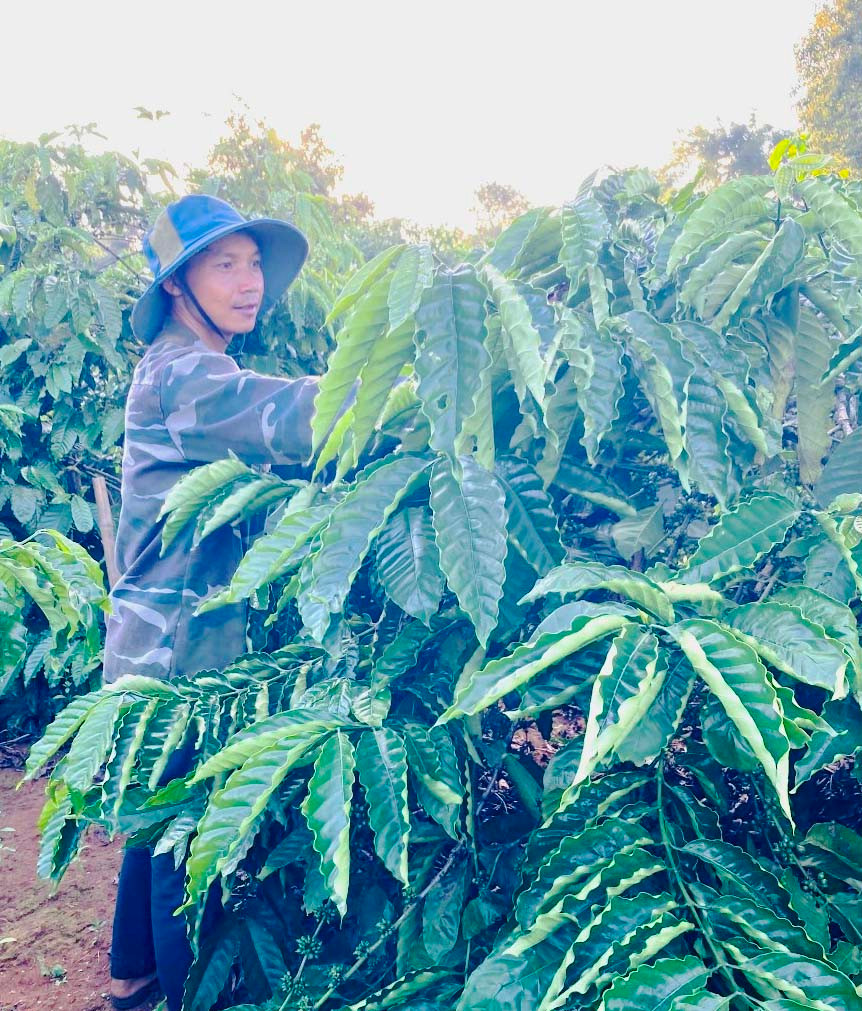 Là Bí thư Chi bộ kiêm trưởng thôn O Yố (xã Ia Băng, huyện Đak Đoa), anh Ning luôn tích cực phát triển kinh tế để làm gương cho mọi người noi theo. Ảnh: N.H Là Bí thư Chi bộ kiêm trưởng thôn O Yố (xã Ia Băng, huyện Đak Đoa), anh Ning luôn tích cực phát triển kinh tế để làm gương cho mọi người noi theo. Ảnh: N.H