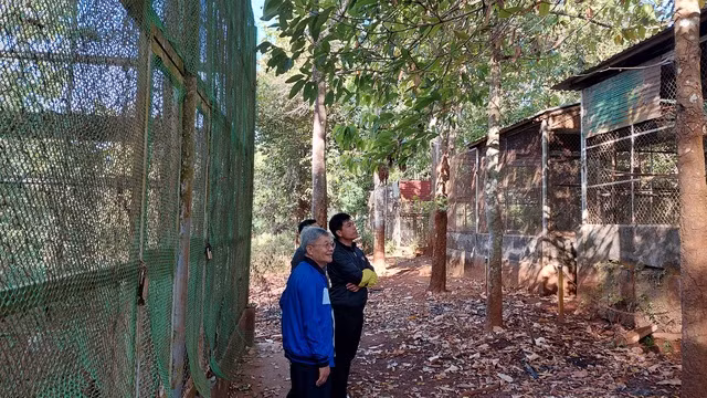 Khách tham quan khu cứu hộ động vật hoang dã