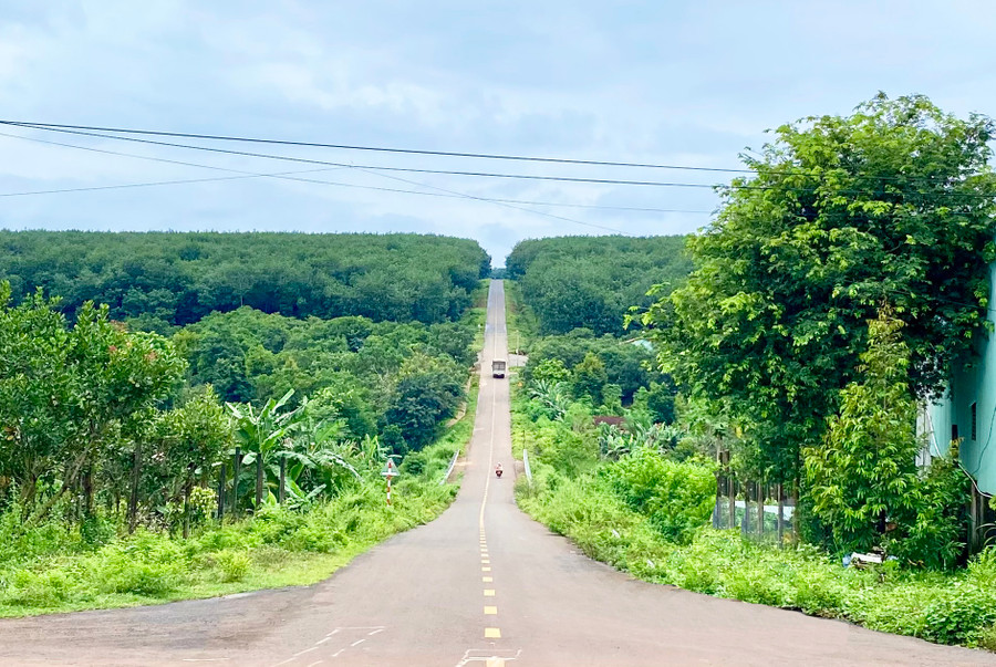 Dự án đường liên xã Ia Krêl-Ia Kla (huyện Đức Cơ) giúp người dân đi lại thuận lợi, góp phần từng bước hoàn thiện hệ thống giao thông của tỉnh. Ảnh: Hà Duy Dự án đường liên xã Ia Krêl-Ia Kla (huyện Đức Cơ) giúp người dân đi lại thuận lợi, góp phần từng bước hoàn thiện hệ thống giao thông của tỉnh. Ảnh: Hà Duy