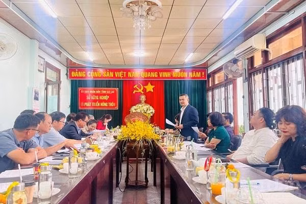 Với phương án gieo trồng hữu cơ, tỉnh Gia Lai ủng hộ các doanh nghiệp thí điểm gieo trồng đậu đỏ tại địa phương.