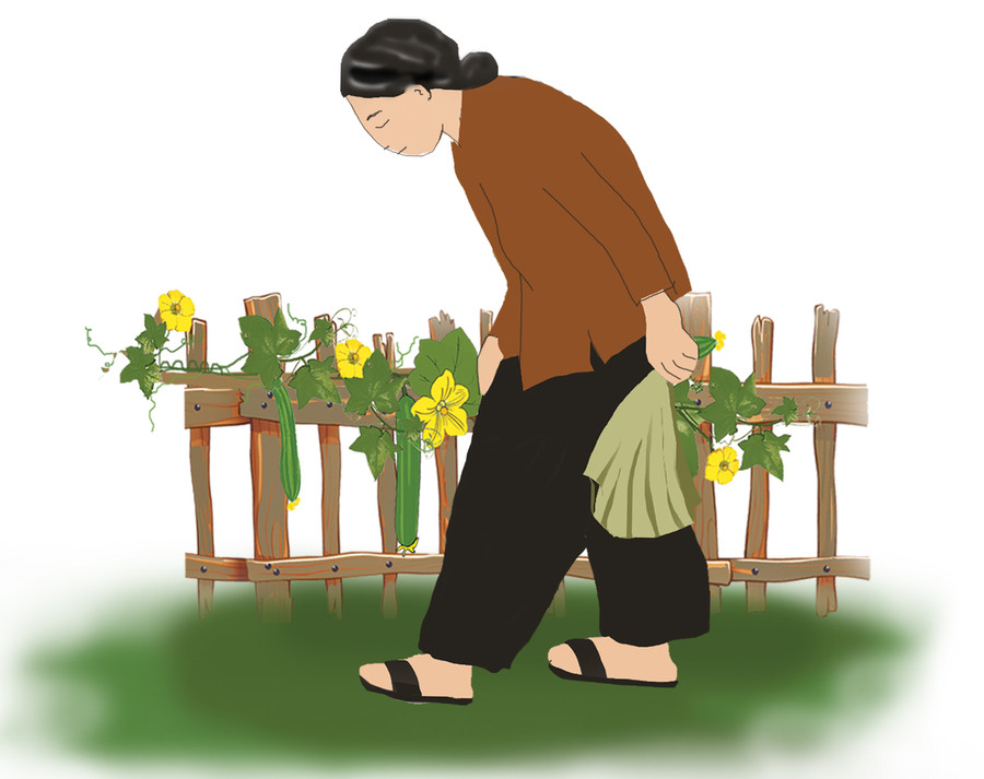 Minh họa: Huyền Trang Minh họa: Huyền Trang