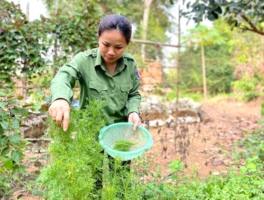 Những lúc tuần tra bảo vệ rừng, làm công tác chuyên môn tại cơ quan, Phó Trưởng ban Quản lý rừng phòng hộ Ia Púch Phan Thị Kiều Hạnh còn đảm nhiệm việc nấu ăn cho một số anh em ở cơ quan. Ảnh: Minh Nguyễn Những lúc tuần tra bảo vệ rừng, làm công tác chuyên môn tại cơ quan, Phó Trưởng ban Quản lý rừng phòng hộ Ia Púch Phan Thị Kiều Hạnh còn đảm nhiệm việc nấu ăn cho một số anh em ở cơ quan. Ảnh: Minh Nguyễn