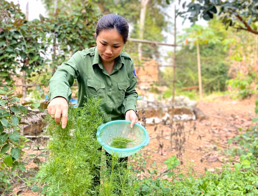 Những lúc tuần tra bảo vệ rừng, làm công tác chuyên môn tại cơ quan, Phó Trưởng ban Quản lý rừng phòng hộ Ia Púch Phan Thị Kiều Hạnh còn đảm nhiệm việc nấu ăn cho một số anh em ở cơ quan. Ảnh: Minh Nguyễn