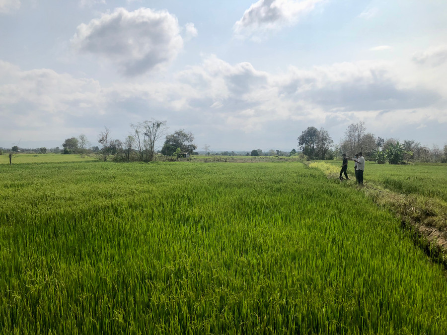 Nguồn nước dồi dào giúp lúa nước trên địa bàn xã Ia Rmok phát triển tốt. Ảnh: Lê Nam Nguồn nước dồi dào giúp lúa nước trên địa bàn xã Ia Rmok phát triển tốt. Ảnh: Lê Nam