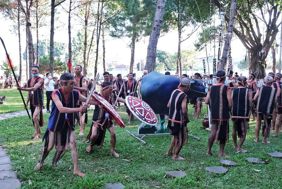 Nghệ nhân làng Piơm (thị trấn Đak Đoa) múa khiên trong lễ tái hiện đâm trâu mừng chiến thắng tại Ngày hội văn hóa các dân tộc ở Quảng trường Đại Đoàn Kết (TP. Pleiku). Ảnh: Hoàng Ngọc Nghệ nhân làng Piơm (thị trấn Đak Đoa) múa khiên trong lễ tái hiện đâm trâu mừng chiến thắng tại Ngày hội văn hóa các dân tộc ở Quảng trường Đại Đoàn Kết (TP. Pleiku). Ảnh: Hoàng Ngọc