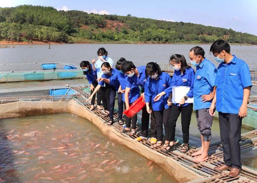 Đoàn viên, thanh niên tham quan mô hình nuôi cá lồng của HTX Nông nghiệp và nuôi trồng thủy sản Ia Grăng (huyện Ia Grai). Ảnh: Mai Ka