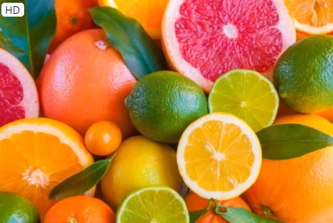 Các hợp chất chống oxy hóa có trong vỏ cam quýt có thể "làm giảm lượng cholesterol cao hiệu quả hơn một số loại thuốc theo toa và không có tác dụng phụ". Ảnh: Shutterstock