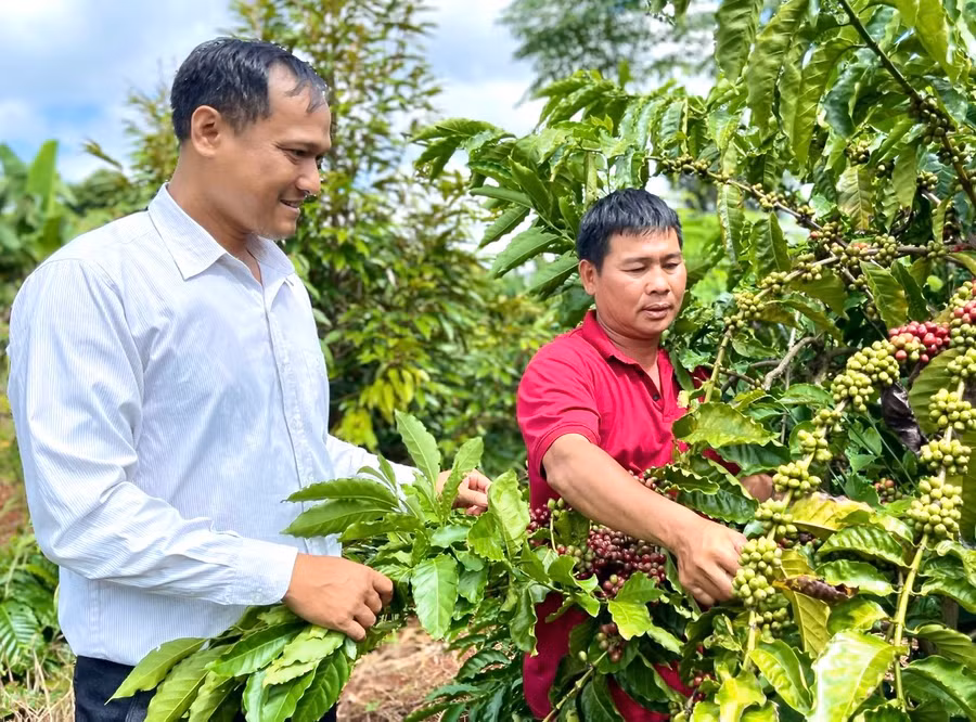 Từ mô hình đa canh, mỗi năm, anh Nguyễn Minh Ánh (bìa phải, thôn Thủy Phú, xã Ia Blứ) có thu nhập trên 300 triệu đồng. Ảnh: M.N