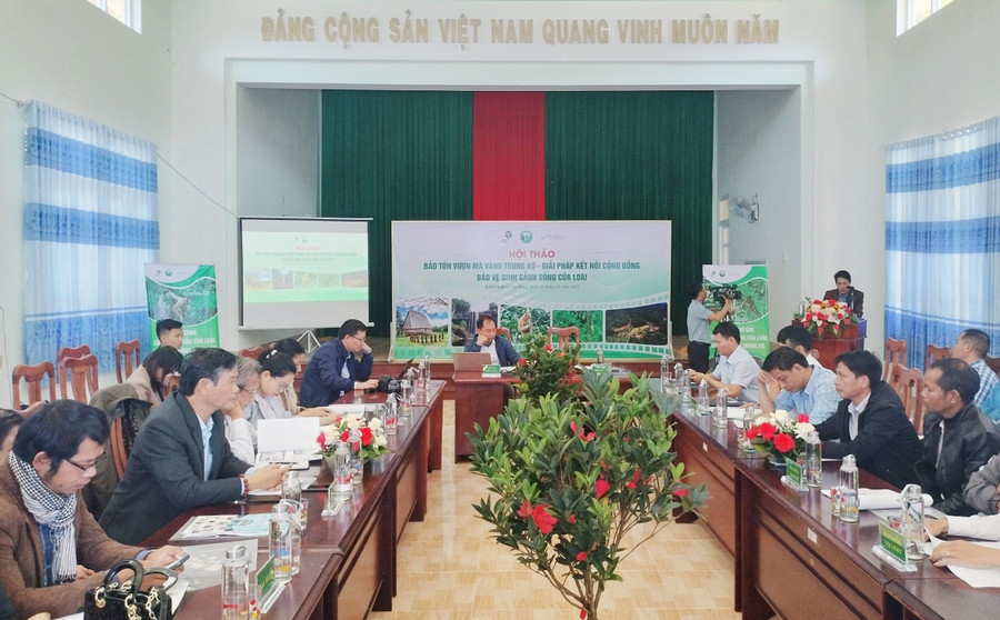 Quang cảnh Hội thảo. Ảnh: Minh Ngân