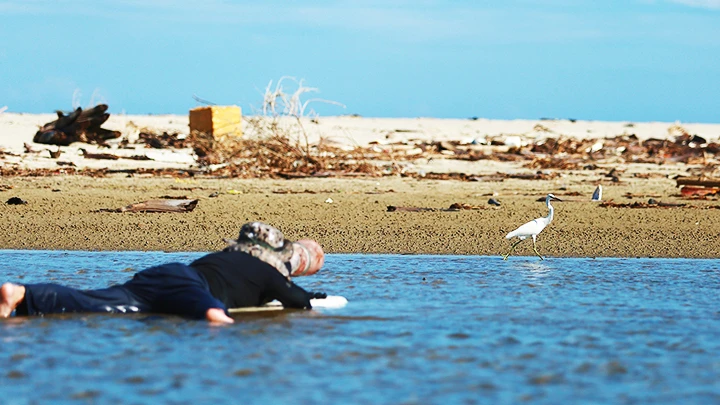 Nhiếp ảnh gia ngâm mình trong nước để chụp chim. Nhiếp ảnh gia ngâm mình trong nước để chụp chim.