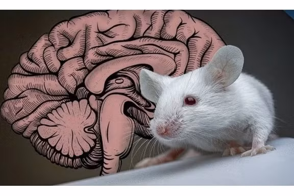 Ảnh minh họa.Nguồn: AFP Ảnh minh họa.Nguồn: AFP