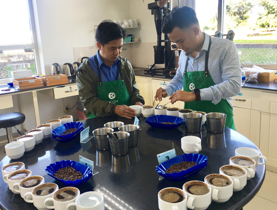 Kiểm tra chất lượng cà phê tại ACOM Gia Lai. Ảnh: Hà Duy Kiểm tra chất lượng cà phê tại ACOM Gia Lai. Ảnh: Hà Duy