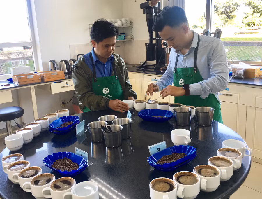 Kiểm tra chất lượng cà phê tại ACOM Gia Lai. Ảnh: Hà Duy