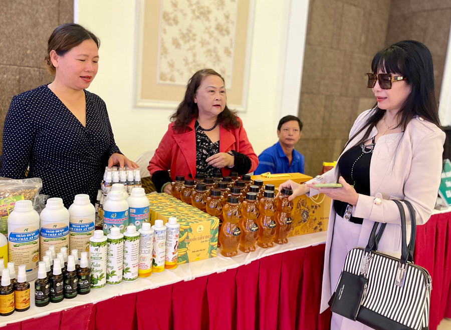 Mô hình xúc tiến thương mại offline và online sẽ thúc đẩy tiêu thụ nông sản. Ảnh: V.T