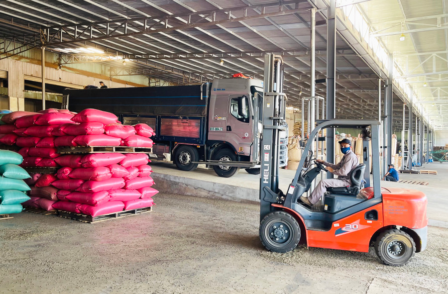 Kho hàng cà phê xuất khẩu của Công ty cổ phần Tín Thành Đạt (TP. Pleiku). Ảnh: V.T Kho hàng cà phê xuất khẩu của Công ty cổ phần Tín Thành Đạt (TP. Pleiku). Ảnh: V.T