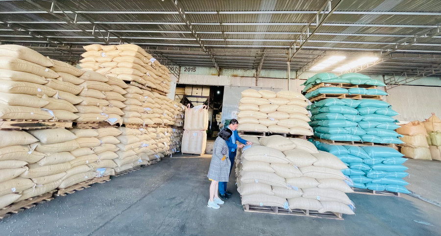 Năm nay, giá cà phê tăng cao đã góp phần tăng trưởng kim ngạch xuất khẩu của tỉnh. Ảnh: V.T Năm nay, giá cà phê tăng cao đã góp phần tăng trưởng kim ngạch xuất khẩu của tỉnh. Ảnh: V.T